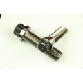 Perno Torx Head Titanium (M6-M14) de alta calidad